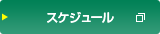 スケジュール